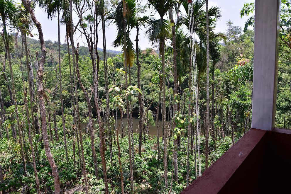 River Near Coorg Jambur Eksteriør billede