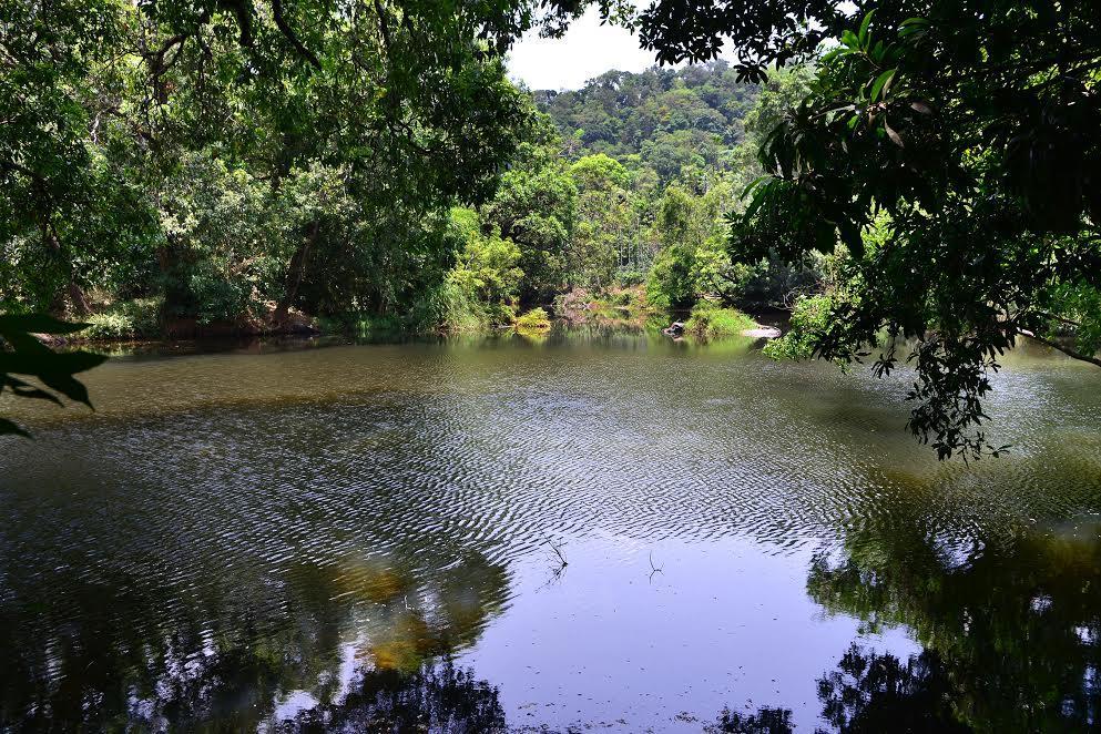 River Near Coorg Jambur Eksteriør billede